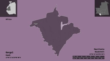 Gorgol 'un şekli, Moritanya bölgesi ve başkenti. Uzaklık ölçeği, ön gösterimler ve etiketler. Renkli yükseklik haritası. 3B görüntüleme