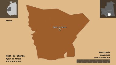 Hodh el Gharbi 'nin şekli, Moritanya bölgesi ve başkenti. Uzaklık ölçeği, ön gösterimler ve etiketler. Düzenli desenli dokuların bileşimi. 3B görüntüleme