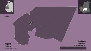 Etiketin şekli, Moritanya bölgesi ve başkenti. Uzaklık ölçeği, ön gösterimler ve etiketler. Renkli yükseklik haritası. 3B görüntüleme