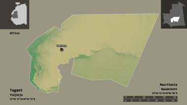 Etiketin şekli, Moritanya bölgesi ve başkenti. Uzaklık ölçeği, ön gösterimler ve etiketler. Topografik yardım haritası. 3B görüntüleme
