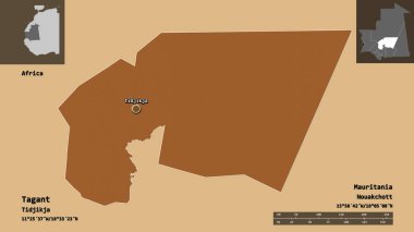 Etiketin şekli, Moritanya bölgesi ve başkenti. Uzaklık ölçeği, ön gösterimler ve etiketler. Düzenli desenli dokuların bileşimi. 3B görüntüleme