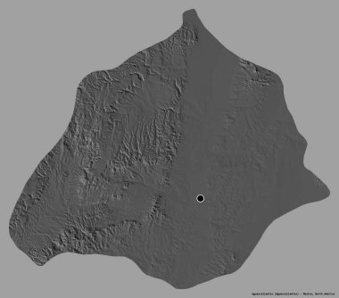 Meksika eyaleti Aguascalientes 'in şekli. Başkenti koyu renk arka planda izole edilmiş. Çift seviyeli yükseklik haritası. 3B görüntüleme