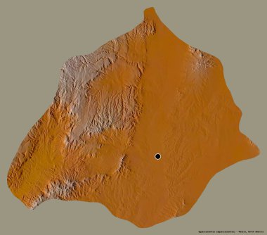 Meksika eyaleti Aguascalientes 'in şekli. Başkenti koyu renk arka planda izole edilmiş. Topografik yardım haritası. 3B görüntüleme