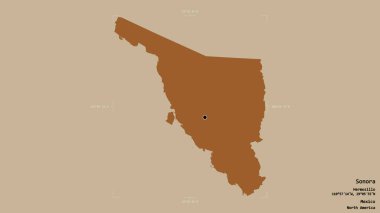 Sonora bölgesi, Meksika eyaleti, sağlam bir arka planda izole edilmiş bir sınır kutusunda. Etiketler. Desenli dokuların bileşimi. 3B görüntüleme