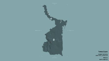 Tamaulipas bölgesi, Meksika eyaleti, jeoreferatlı bir sınır kutusunda sağlam bir arka planda izole edilmiş. Etiketler. Renkli yükseklik haritası. 3B görüntüleme