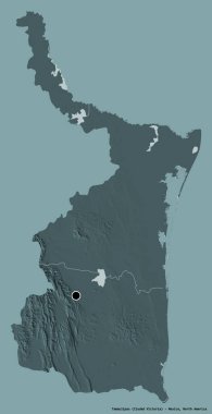 Tamaulipas 'ın şekli, Meksika eyaleti, başkenti katı renk arka planında izole edilmiş. Renkli yükseklik haritası. 3B görüntüleme