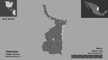 Tamaulipas 'ın şekli, Meksika eyaleti ve başkenti. Uzaklık ölçeği, ön gösterimler ve etiketler. Çift seviyeli yükseklik haritası. 3B görüntüleme