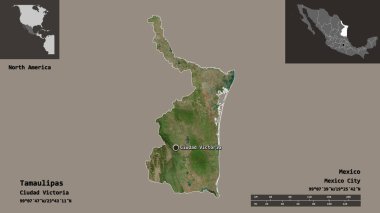 Tamaulipas 'ın şekli, Meksika eyaleti ve başkenti. Uzaklık ölçeği, ön gösterimler ve etiketler. Uydu görüntüleri. 3B görüntüleme