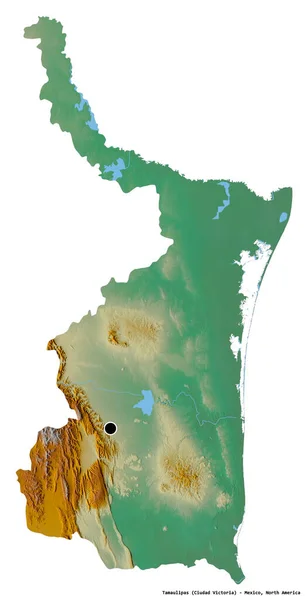 メキシコのタマウリパス州の形で その首都は白い背景に孤立しています 地形図 3Dレンダリング — ストック写真