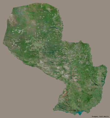 Paraguay 'ın sermayesi katı renk arkaplanı ile izole edilmiş hali. Uydu görüntüleri. 3B görüntüleme