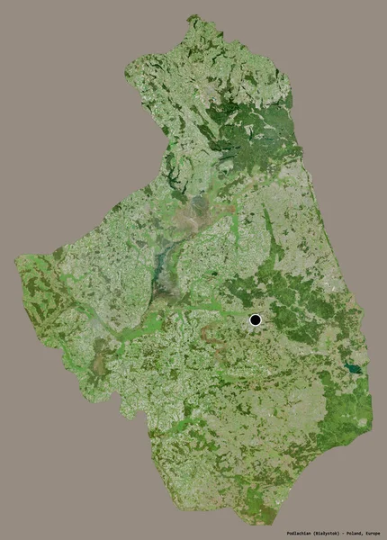 ポドラチアンの形は ポーランドの愛好家で その首都はしっかりとした色の背景に孤立しています 衛星画像 3Dレンダリング — ストック写真