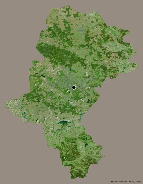 西里西亚的形状 波兰的省 其首都在一个坚实的色彩背景上孤立 卫星图像 3D渲染 — 图库照片