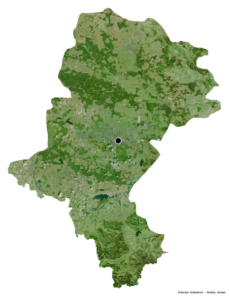 西里西亚的形状 波兰的省 首都被白色背景隔离 卫星图像 3D渲染 — 图库照片