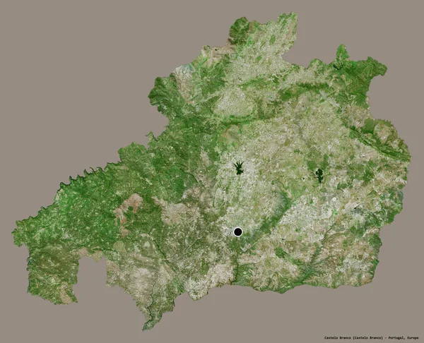 ポルトガルの首都カステロ ブランコの形は しっかりとした色の背景に隔離されています 衛星画像 3Dレンダリング — ストック写真