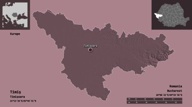 Romanya 'nın Timis ilçesi ve başkenti. Uzaklık ölçeği, ön gösterimler ve etiketler. Renkli yükseklik haritası. 3B görüntüleme