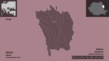 Romanya 'nın Vaslui ilçesi ve başkenti. Uzaklık ölçeği, ön gösterimler ve etiketler. Renkli yükseklik haritası. 3B görüntüleme