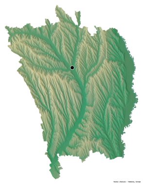 Romanya 'nın Vaslui ilçesinin başkenti beyaz arka planda izole edilmiştir. Topografik yardım haritası. 3B görüntüleme