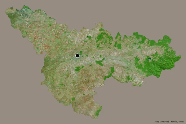 ルーマニアの郡ティミスの形で その首都はしっかりした色の背景に隔離されています 衛星画像 3Dレンダリング — ストック写真