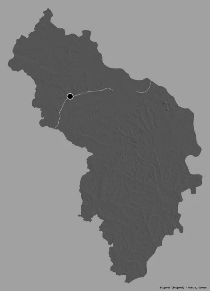 ロシアの領域 ベルゴルドの形状は その首都は 固体色の背景に隔離されています 標高マップ 3Dレンダリング — ストック写真