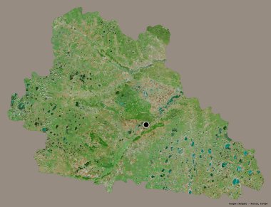 Rusya 'nın Kurgan bölgesi, başkenti katı bir renk arkaplanı ile izole edilmiştir. Uydu görüntüleri. 3B görüntüleme