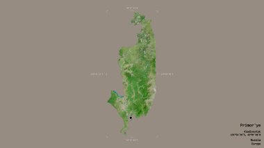 Primorye bölgesi, Rusya toprakları, katı bir arka planda izole edilmiş bir sınır kutusunda. Etiketler. Uydu görüntüleri. 3B görüntüleme