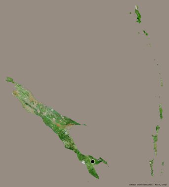 Rusya 'nın Sakhalin bölgesi, başkenti katı renk arkaplanı ile izole edilmiştir. Uydu görüntüleri. 3B görüntüleme