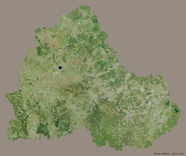 Rusya 'nın Smolensk bölgesi, başkenti katı renk arkaplanı ile izole edilmiştir. Uydu görüntüleri. 3B görüntüleme