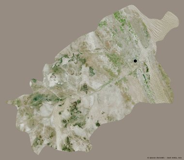 Al Quassim 'in şekli, Suudi Arabistan bölgesi, başkenti katı bir renk arkaplanı ile izole edilmiş. Uydu görüntüleri. 3B görüntüleme