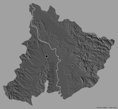 Sırbistan 'ın Pomoravski ilçesi, başkenti sağlam bir renk zeminine sahip. Çift seviyeli yükseklik haritası. 3B görüntüleme