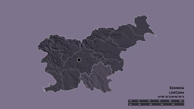 Slovenya 'nın başkenti, ana bölgesel bölünmesi ve bölünmüş Jugovzhodna Slovenija bölgesiyle deforme olmuş hali. Etiketler. Renkli yükseklik haritası. 3B görüntüleme