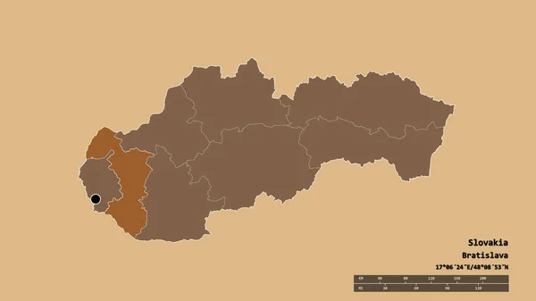 その首都 メイン地域部門と分離されたトラフスキーエリアとスロバキアの荒廃した形状 ラベル パターン化されたテクスチャの構成 3Dレンダリング — ストック写真