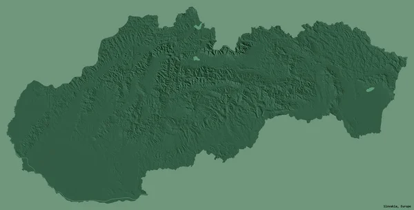 Gestalt Der Slowakei Mit Ihrer Hauptstadt Isoliert Auf Einem Einfarbigen — Stockfoto