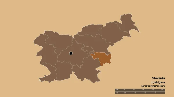 Forma Dessaturada Eslovénia Com Sua Capital Principal Divisão Regional Área — Fotografia de Stock
