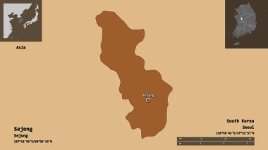 Güney Kore 'nin metropoliten özerk şehri Sejong ve başkenti. Uzaklık ölçeği, ön gösterimler ve etiketler. Desenli dokuların bileşimi. 3B görüntüleme