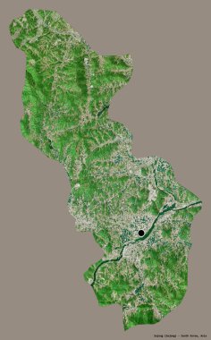 Sejong 'un şekli, Güney Kore' nin özerk şehri, başkenti katı renk arkaplanı ile izole edilmiş. Uydu görüntüleri. 3B görüntüleme