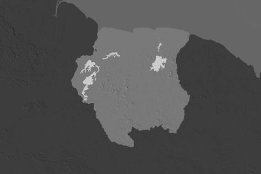 Suriname 'nin şekli komşu bölgelerin dedoygunluğuyla ayrılır. Çift seviyeli yükseklik haritası. 3B görüntüleme