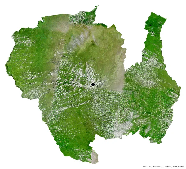 白を背景に孤立した首都スリナムの地区 シパリウィニの形 衛星画像 3Dレンダリング — ストック写真