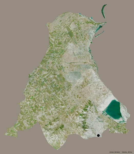 Ariana 'nın şekli, Tunus valisi, başkenti katı renk arka planında izole edilmiş. Uydu görüntüleri. 3B görüntüleme