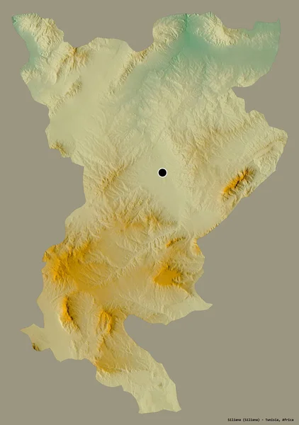 チュニジアの統治者シリアナの形で その首都はしっかりとした色の背景に隔離されています 地形図 3Dレンダリング — ストック写真