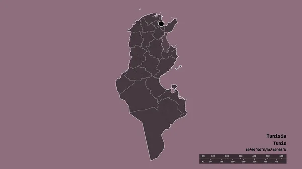 Forma Dessaturada Tunísia Com Sua Capital Principal Divisão Regional Área — Fotografia de Stock