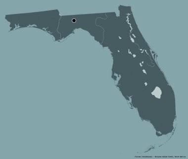 Florida 'nın şekli, Birleşik Devletler' in anakara eyaleti, başkenti katı renk arka planında izole edilmiş. Renkli yükseklik haritası. 3B görüntüleme