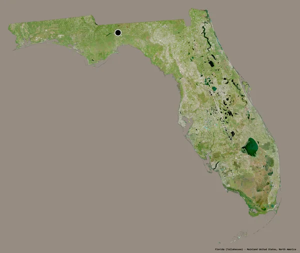 Kształt Florydy Stan Kontynentalny Stany Zjednoczone Jego Kapitału Izolowane Stałym — Zdjęcie stockowe