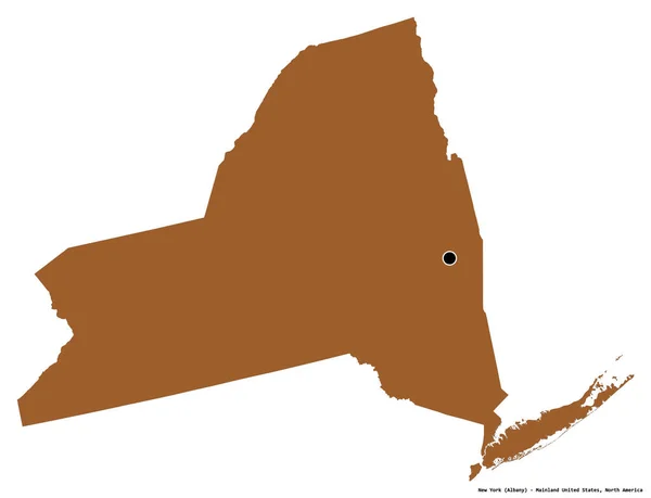 米国本土のニューヨーク州の形で その首都は白い背景に隔離されています パターン化されたテクスチャの構成 3Dレンダリング — ストック写真
