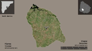 Flores 'in şekli, Uruguay Bölümü ve başkenti. Uzaklık ölçeği, ön gösterimler ve etiketler. Uydu görüntüleri. 3B görüntüleme