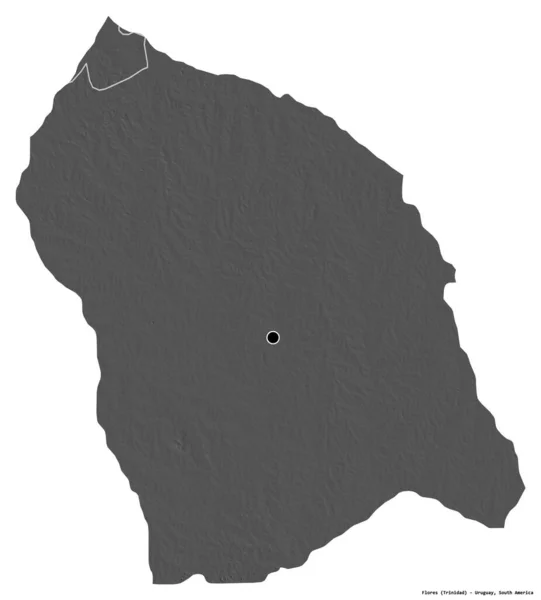 ウルグアイ県のフローレス島の形で 首都は白い背景に孤立しています 標高マップ 3Dレンダリング — ストック写真
