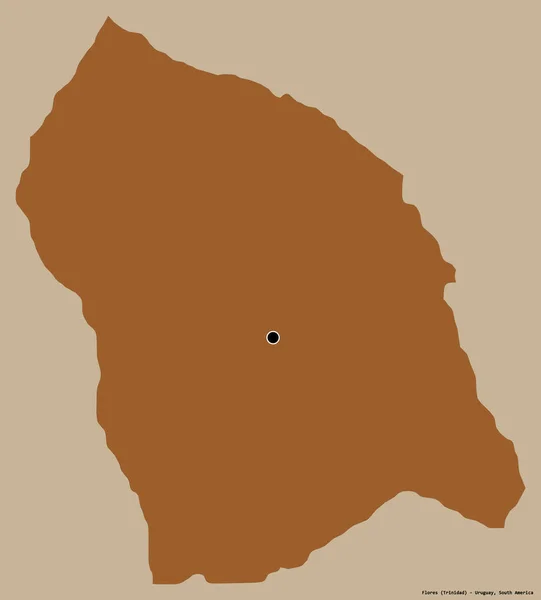 ウルグアイ県のフローレス島の形で その首都はしっかりとした色の背景に隔離されています パターン化されたテクスチャの構成 3Dレンダリング — ストック写真