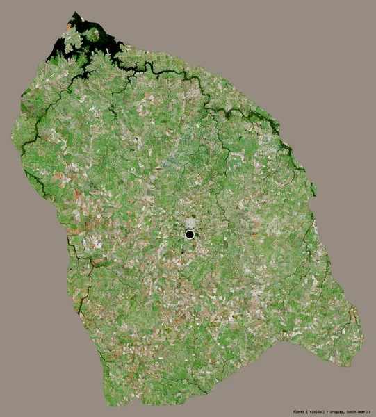 ウルグアイ県のフローレス島の形で その首都はしっかりとした色の背景に隔離されています 衛星画像 3Dレンダリング — ストック写真