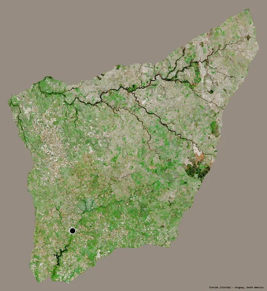 佛罗里达州的形状 乌拉圭的一个省 它的首都孤立在一个坚实的色彩背景 卫星图像 3D渲染 — 图库照片
