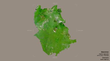 Amazon bölgesi, Venezuela eyaleti, katı bir arka planda izole edilmiş bir sınır kutusunda. Etiketler. Uydu görüntüleri. 3B görüntüleme