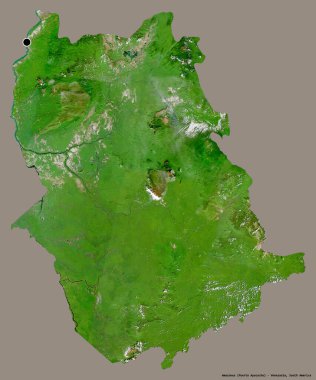 Amazon 'un şekli, Venezuela eyaleti, sermayesi katı renk arka planında izole edilmiş. Uydu görüntüleri. 3B görüntüleme